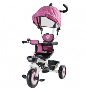 Aziamor Triciclo DesmoTrike 4 in 1 colore Viola