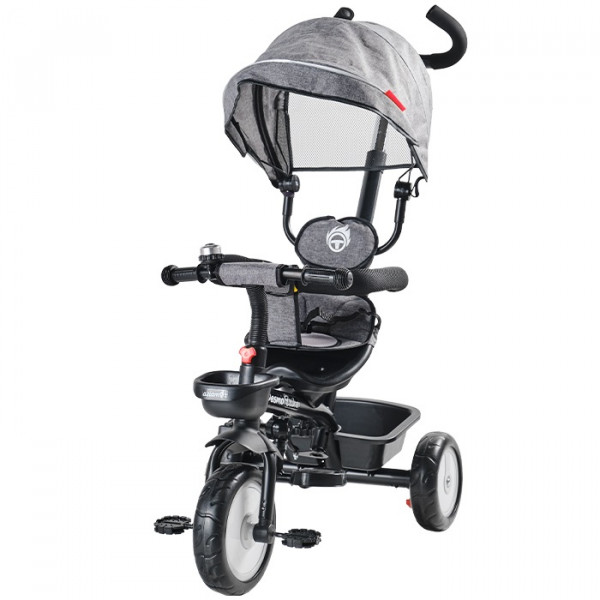 Aziamor DesmoTrike Triciclo 4 in 1 con Manico Direzionale per Bambini Grigio